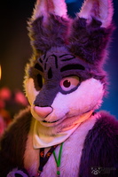 FLT04613-Enhanced-NR