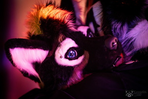 FLT04656-Enhanced-NR