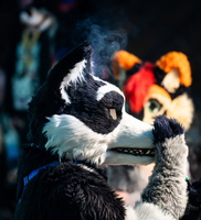 FLT04664-Enhanced-NR