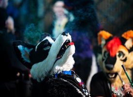 FLT04665-Enhanced-NR