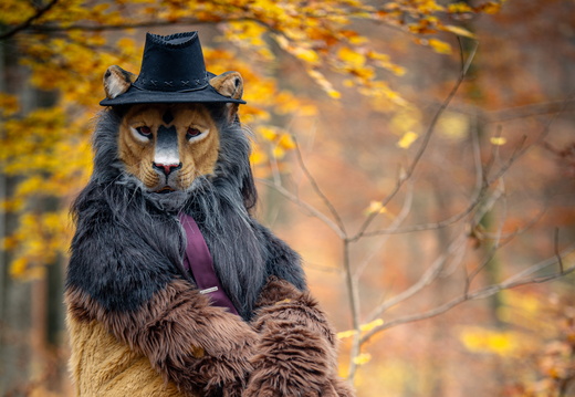 Bantal Autumn Forest