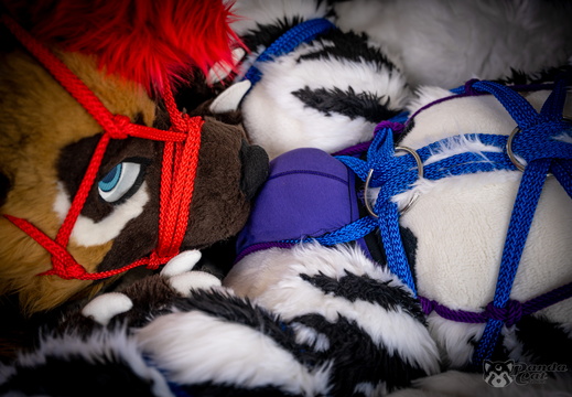 Nickel & Kad Shibari