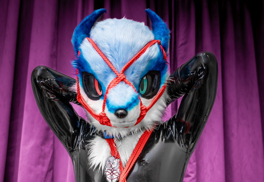 BlueHawaiiChan in Ropes