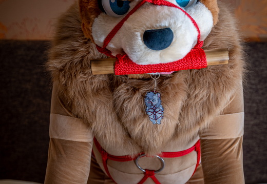 Hunkuma in Ropes