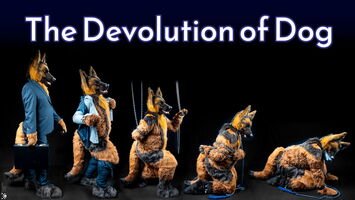 DevolutionOfDog