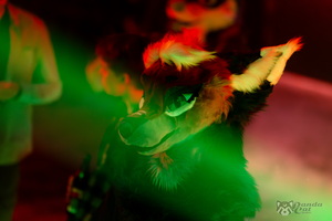 FLT08453
