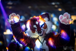 FLT01076