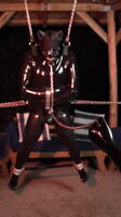 FeroSwingBlind
